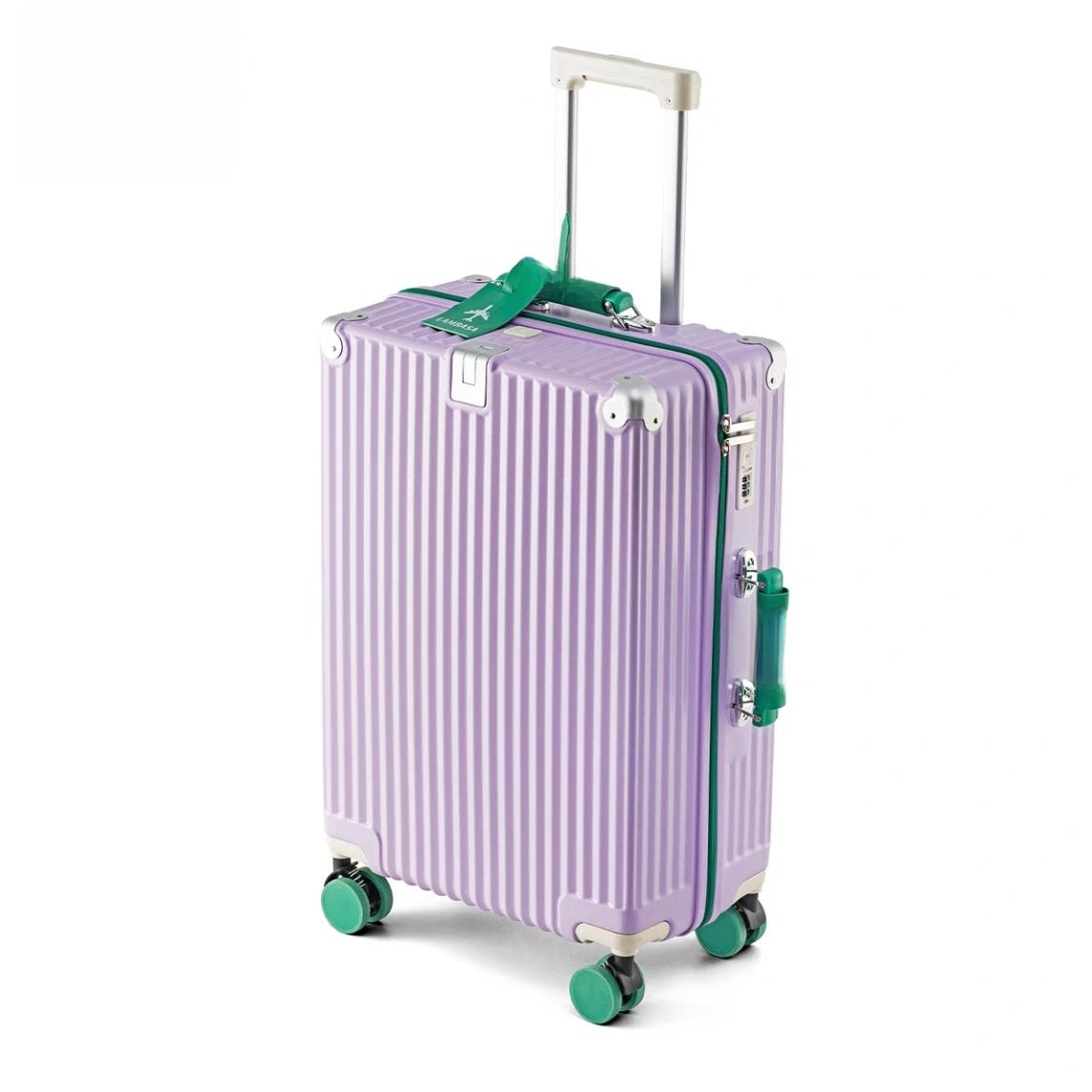 Travel Luggage